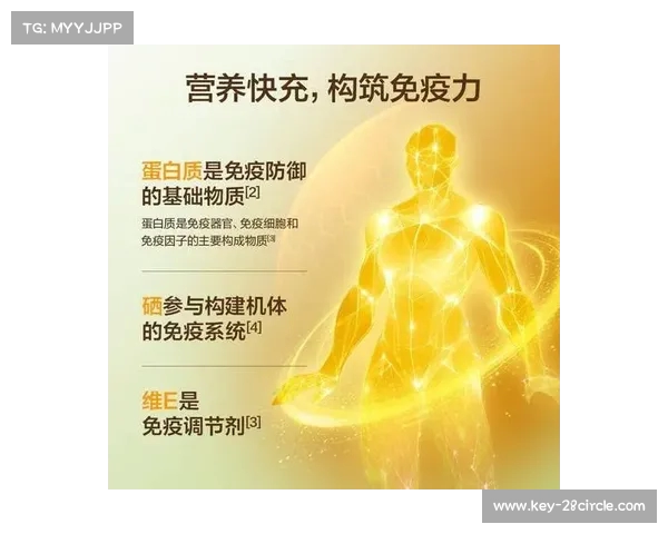 蛋白粉的营养价值与科学使用指南让你更健康更有力